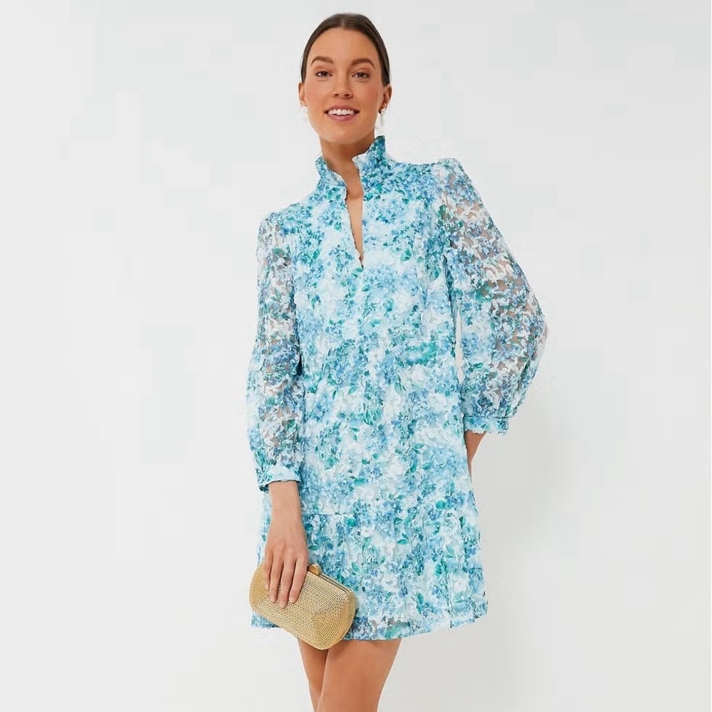 Tuckernuck Palmerston Dress Water's Edge Hydrangea Organza Size Large Blue NWT